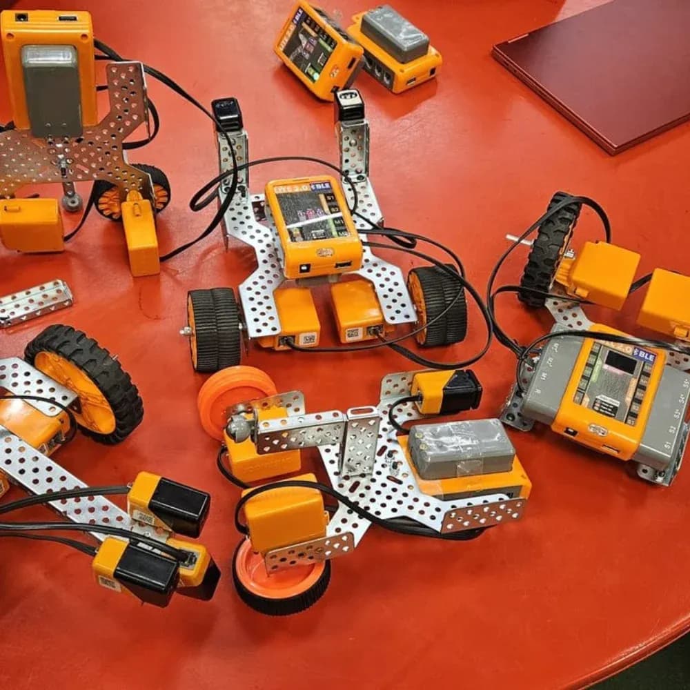 STEM activity